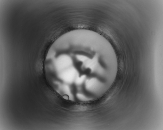 X0000089730545200707201843