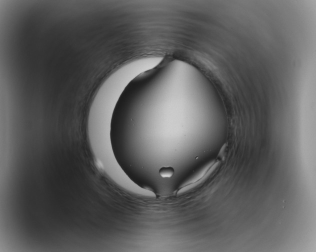 X0000089730546200707201843