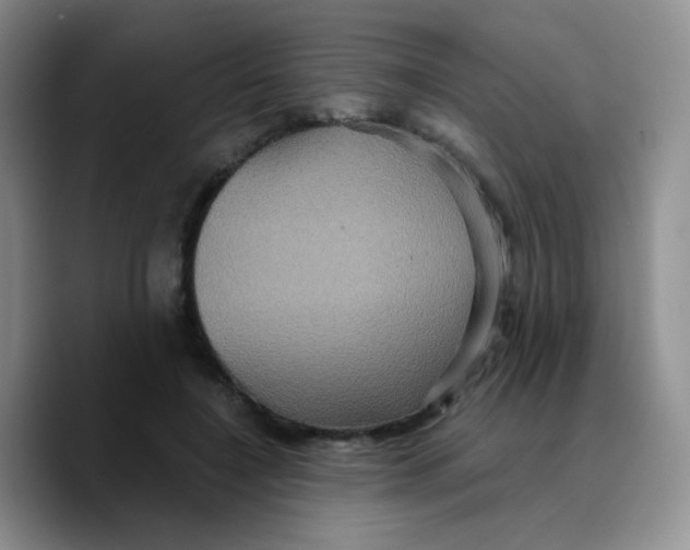 X0000089730548200707201843