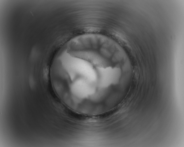 X0000089730550200707201843