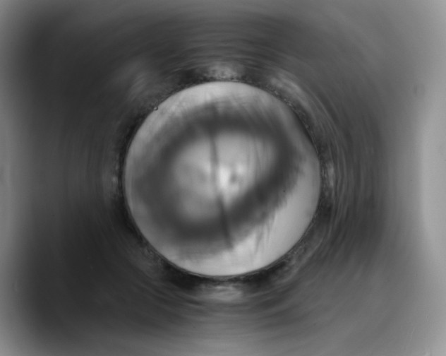 X0000089730553200707201843