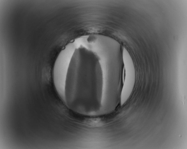 X0000089730554200707201843