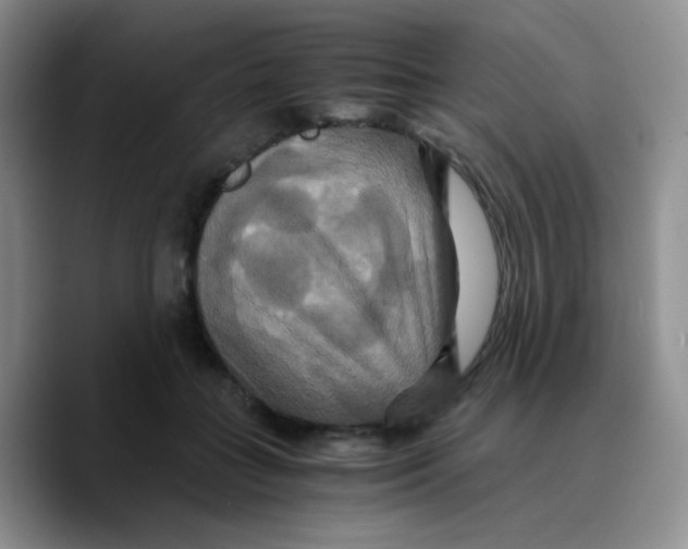 X0000089730555200707201843