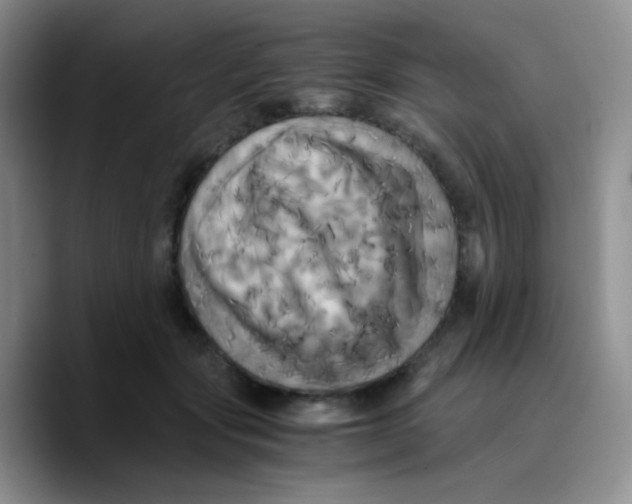 X0000089730557200707201843