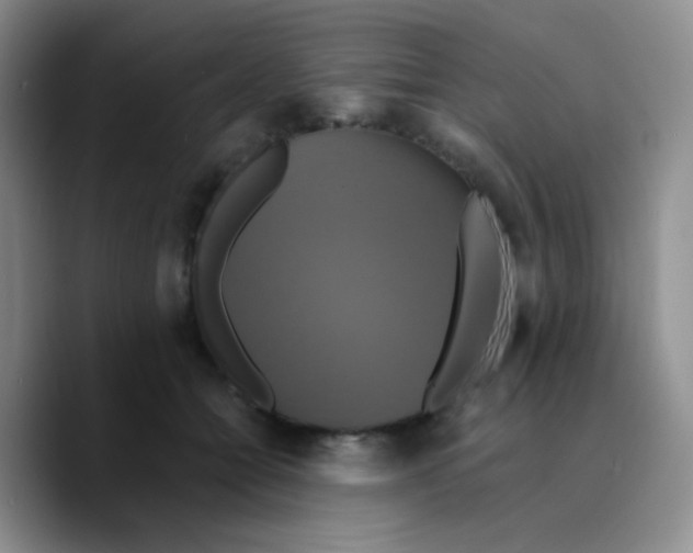 X0000089730558200707201843