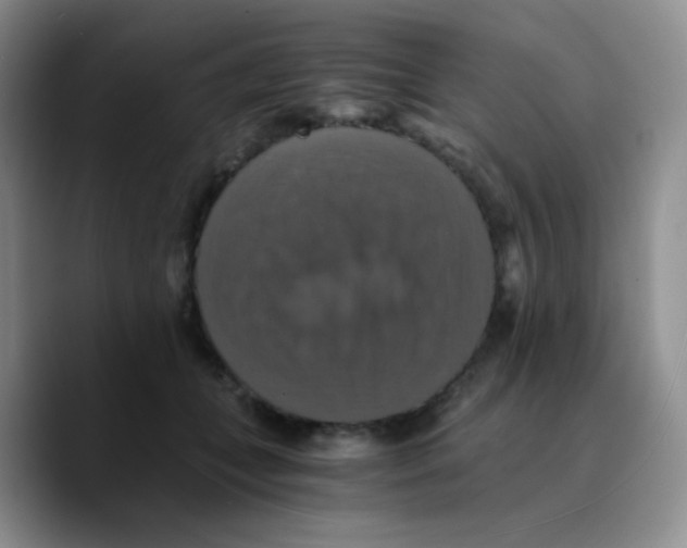 X0000089730559200707201843