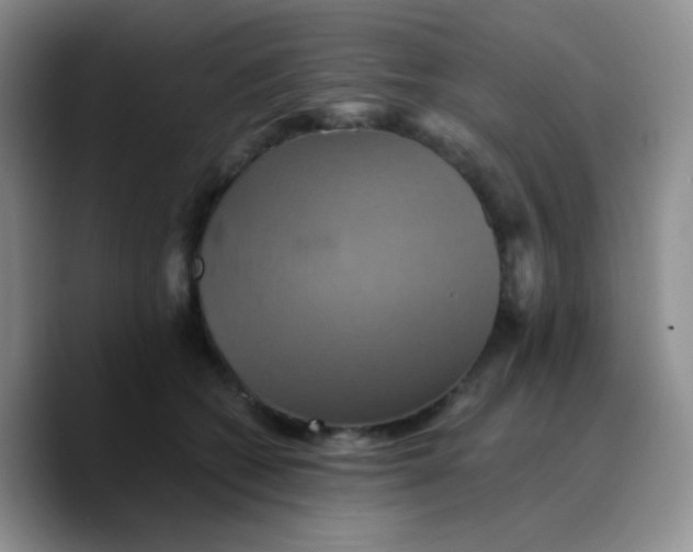 X0000089730562200707201843