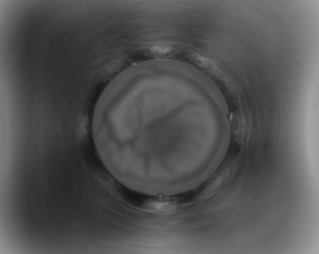 X0000089730563200707201843