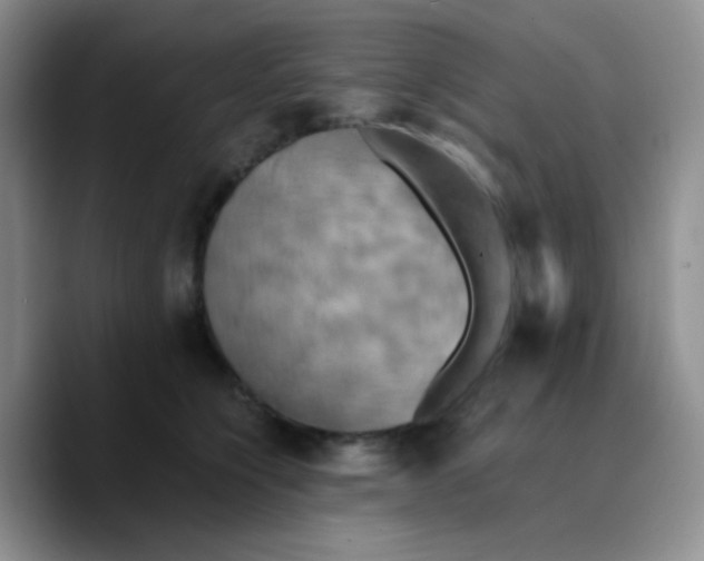 X0000089730564200707201843