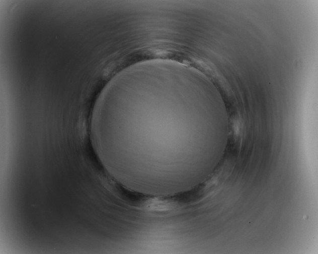 X0000089730568200707201843