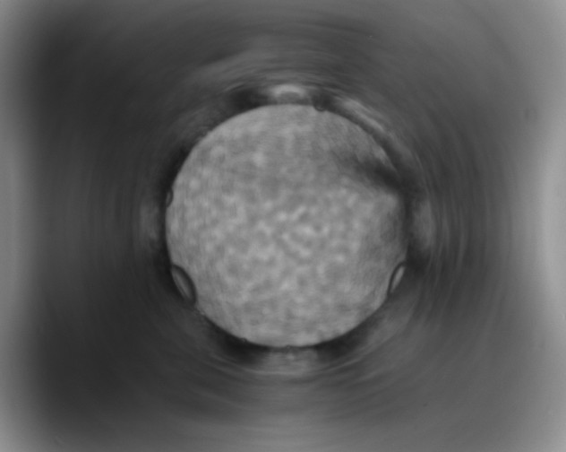 X0000089730571200707201844