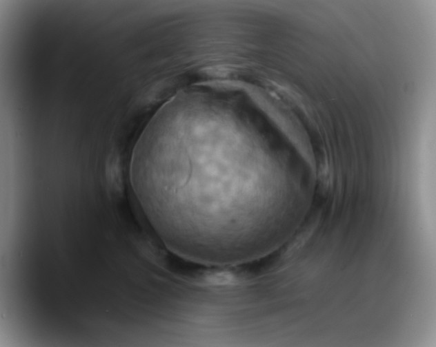 X0000089730572200707201844
