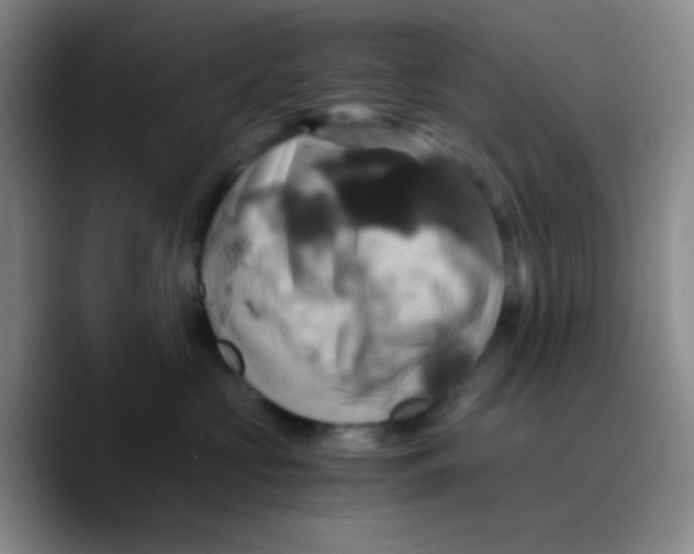 X0000089730573200707201844