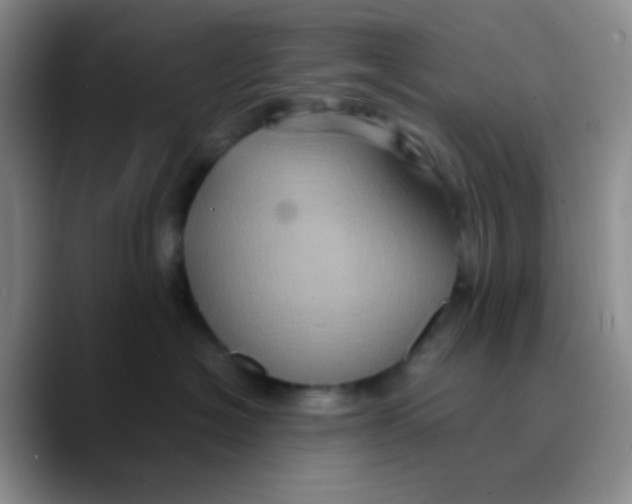 X0000089730574200707201844