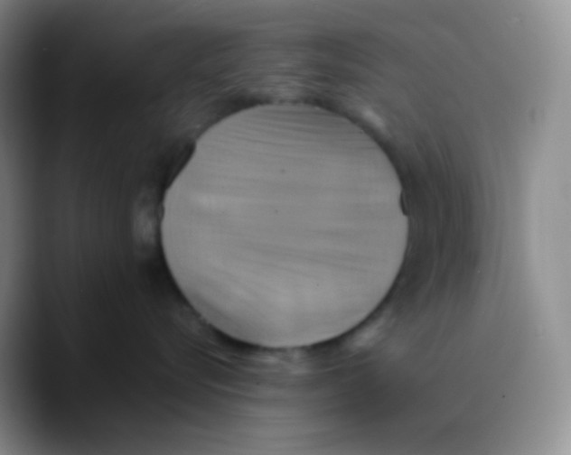 X0000089730576200707201844