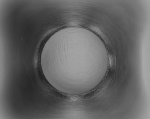 X0000089730579200707201843
