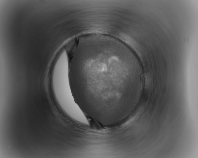 X0000089730580200707201843