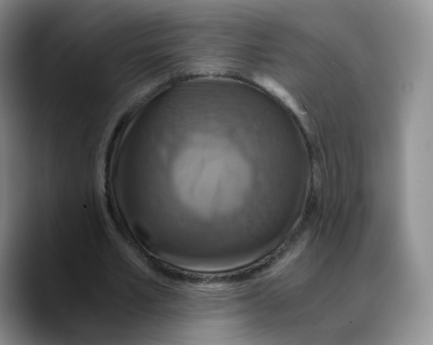 X0000089730581200707201843