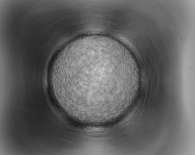 X0000089730582200707201843