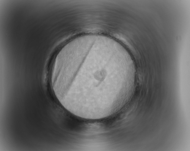 X0000089730583200707201843