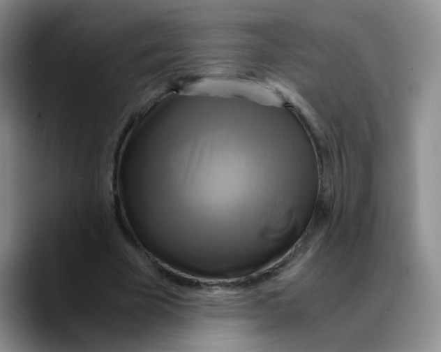 X0000089730585200707201843