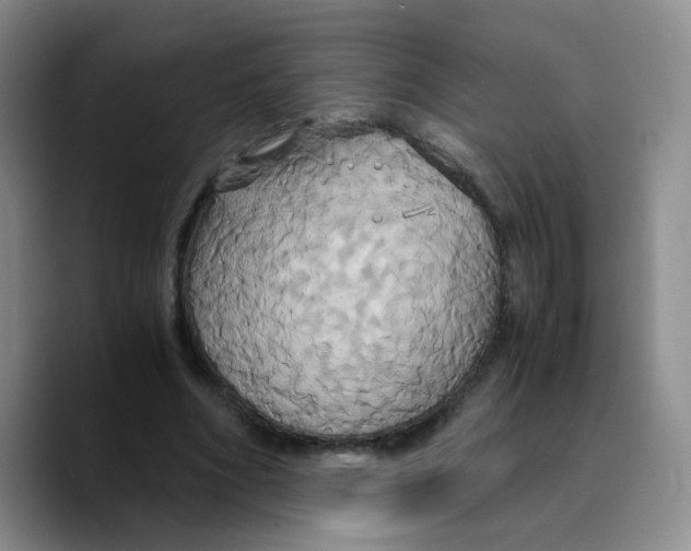 X0000089730586200707201843