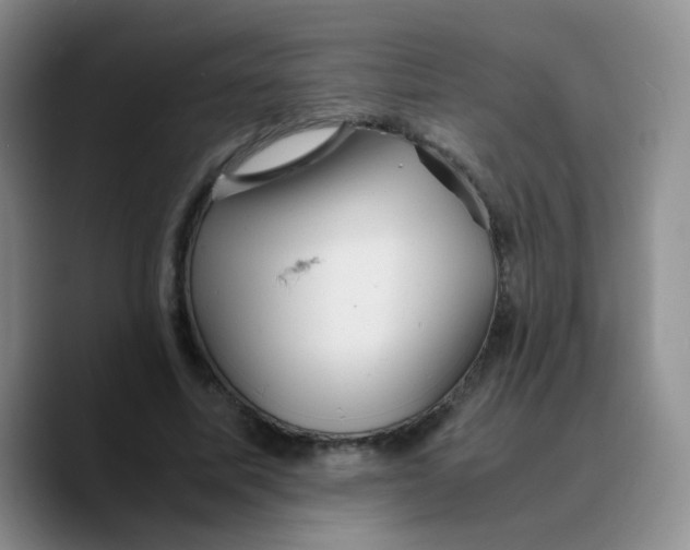X0000089730587200707201843