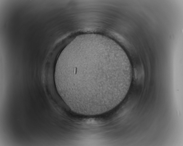 X0000089730588200707201843