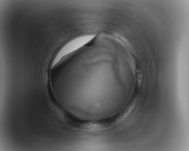 X0000089730589200707201843