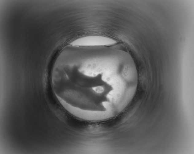 X0000089730591200707201843