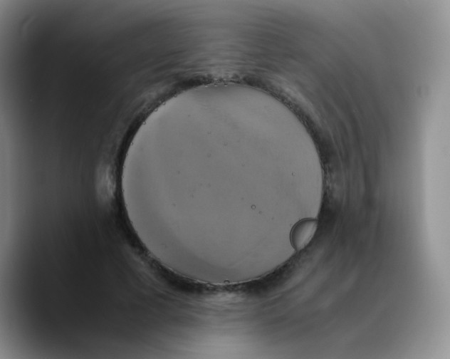 X0000089730593200707201843