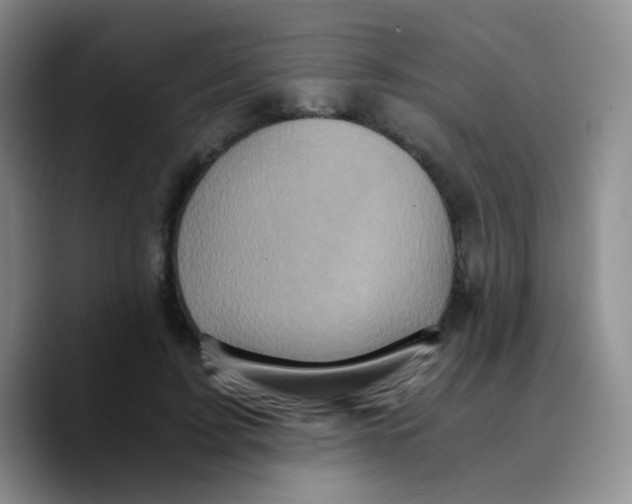X0000089730595200707201843