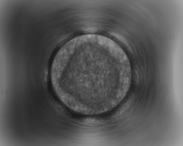 X0000089730596200707201843