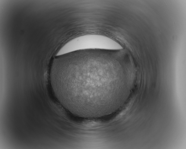X0000089730597200707201843