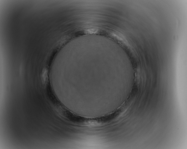 X0000089730598200707201843