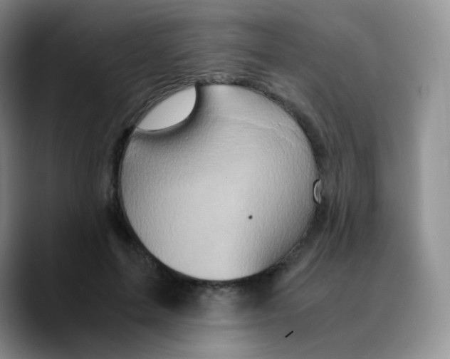 X0000089730599200707201843