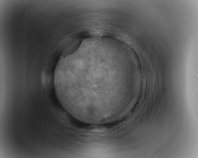X0000089730601200707201843