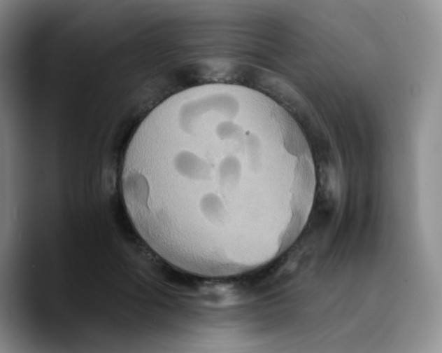 X0000089730602200707201843