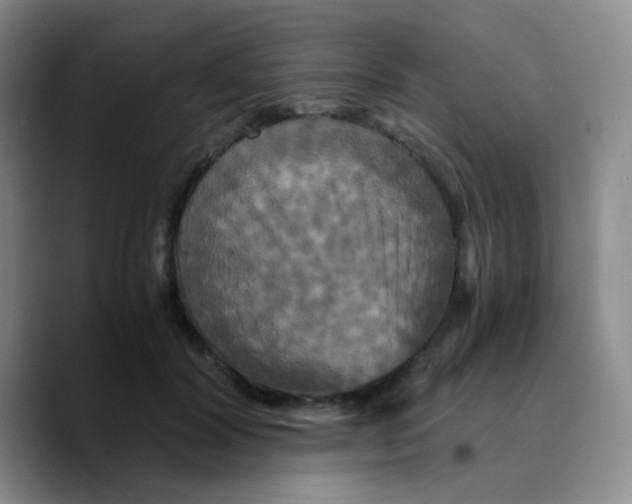 X0000089730604200707201843
