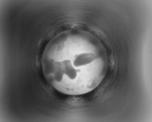 X0000089730607200707201843