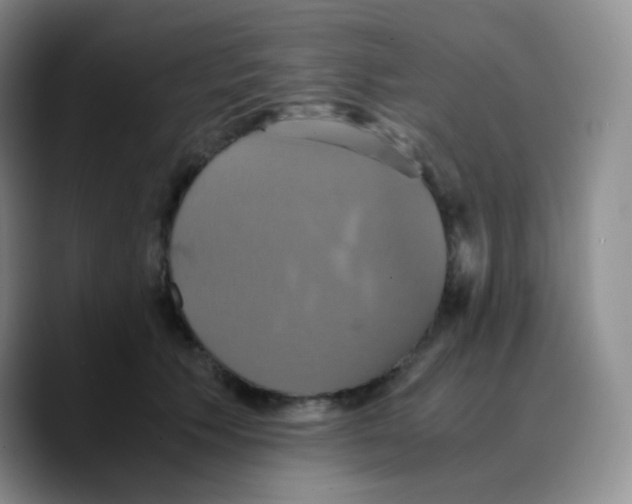 X0000089730609200707201843