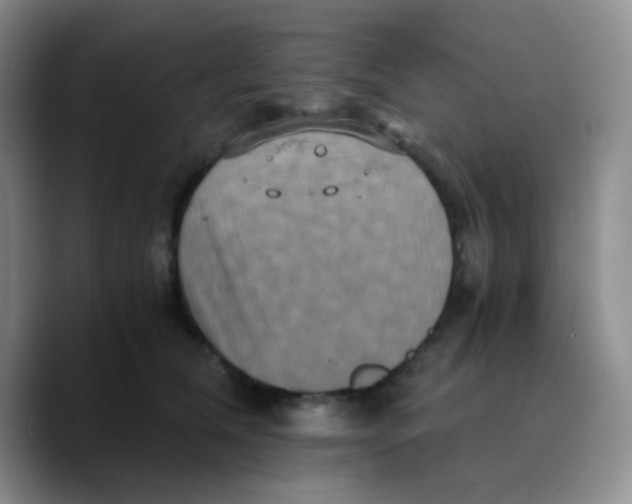 X0000089730612200707201843