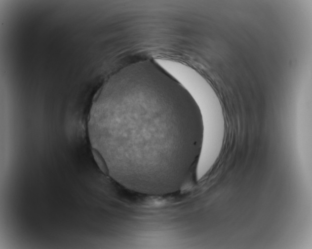 X0000089730613200707201842