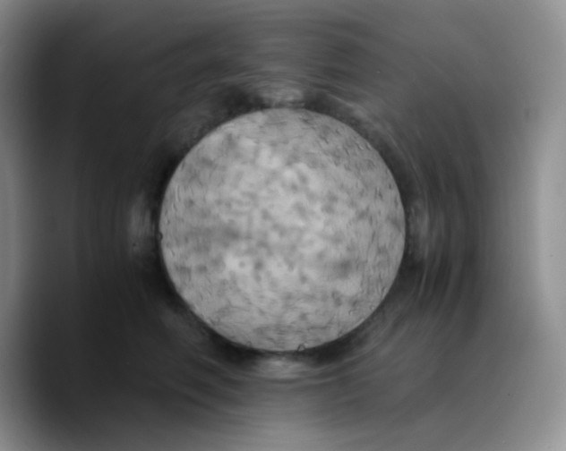 X0000089730614200707201842