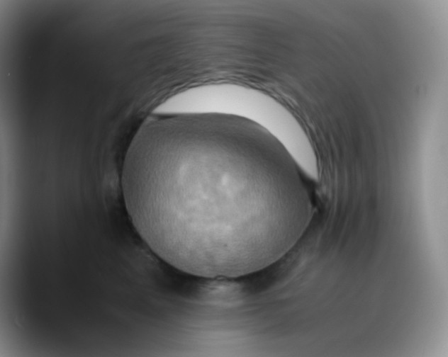 X0000089730617200707201842
