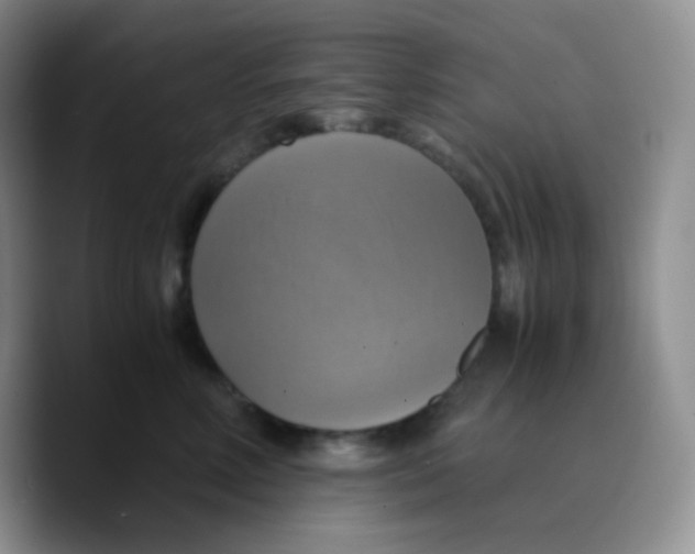 X0000089730618200707201842
