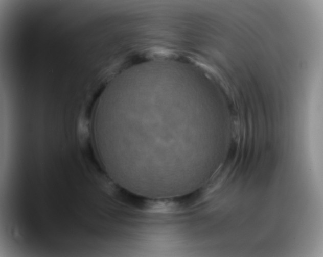 X0000089730621200707201842