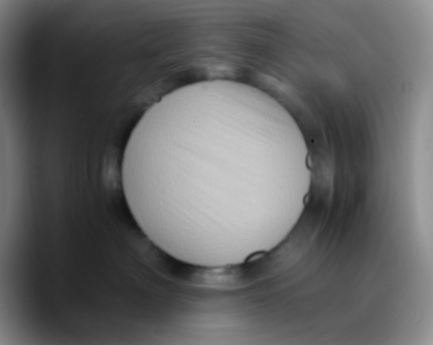 X0000089730622200707201842