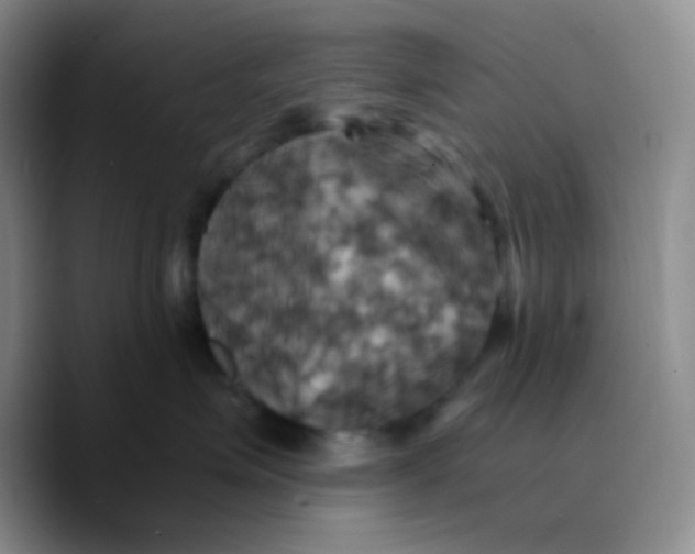 X0000089730623200707201842