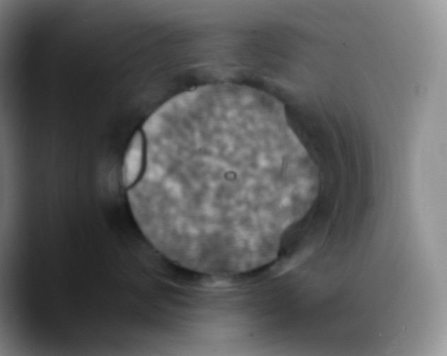X0000089730624200707201842